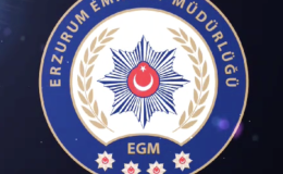 ERZURUM EMNİYET MÜDÜRLÜĞÜ KASIM AYI OPERASYONLARI