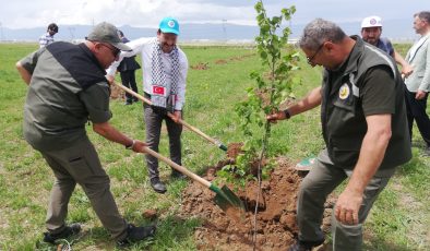 Filistin ve Doğu Türkistan Hatıra Ormanı