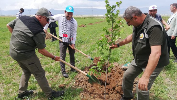 Filistin ve Doğu Türkistan Hatıra Ormanı